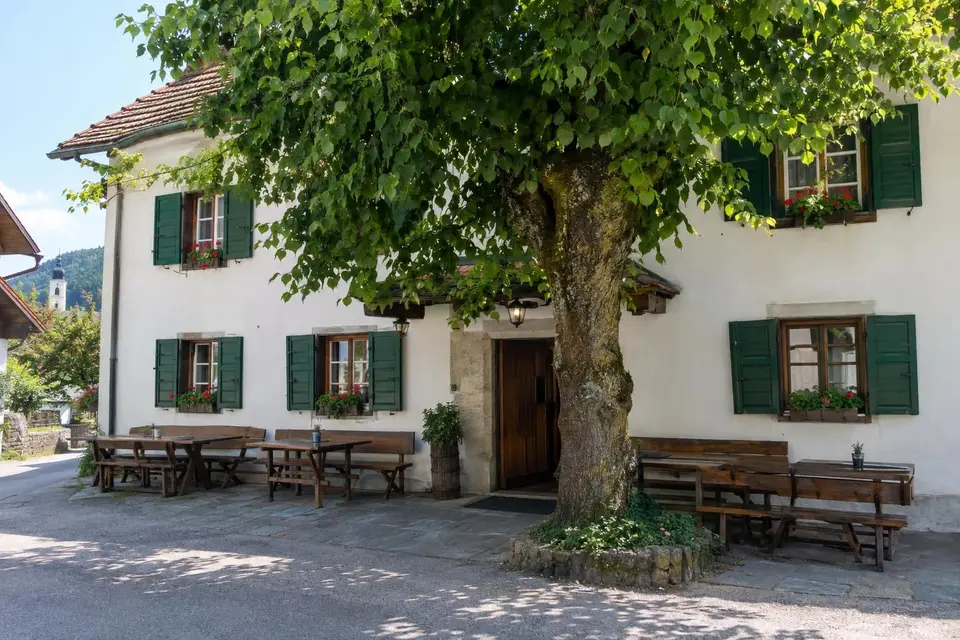 Pročelje stare gostilne na Kapucinskem trgu z lipo pred vhodom